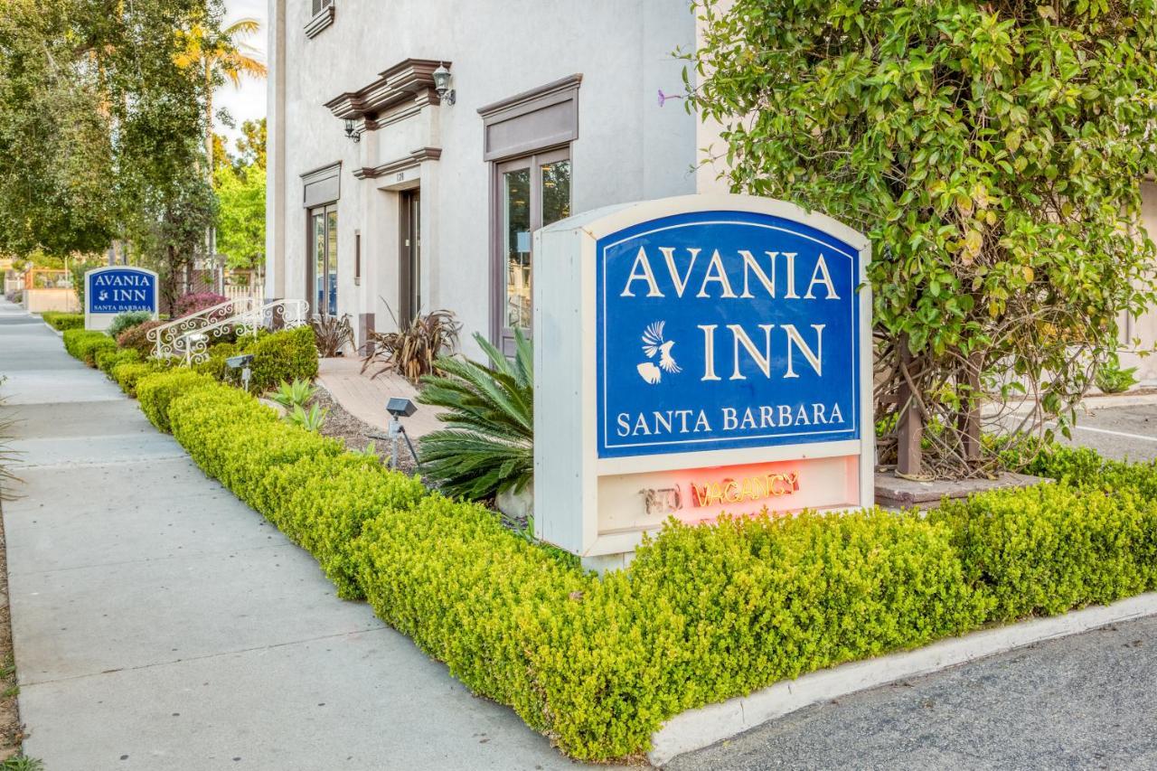 Avania Of Santa Barbara