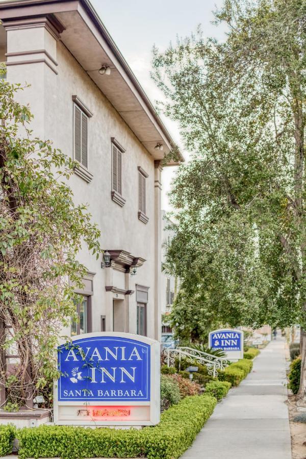 Avania Of 3*