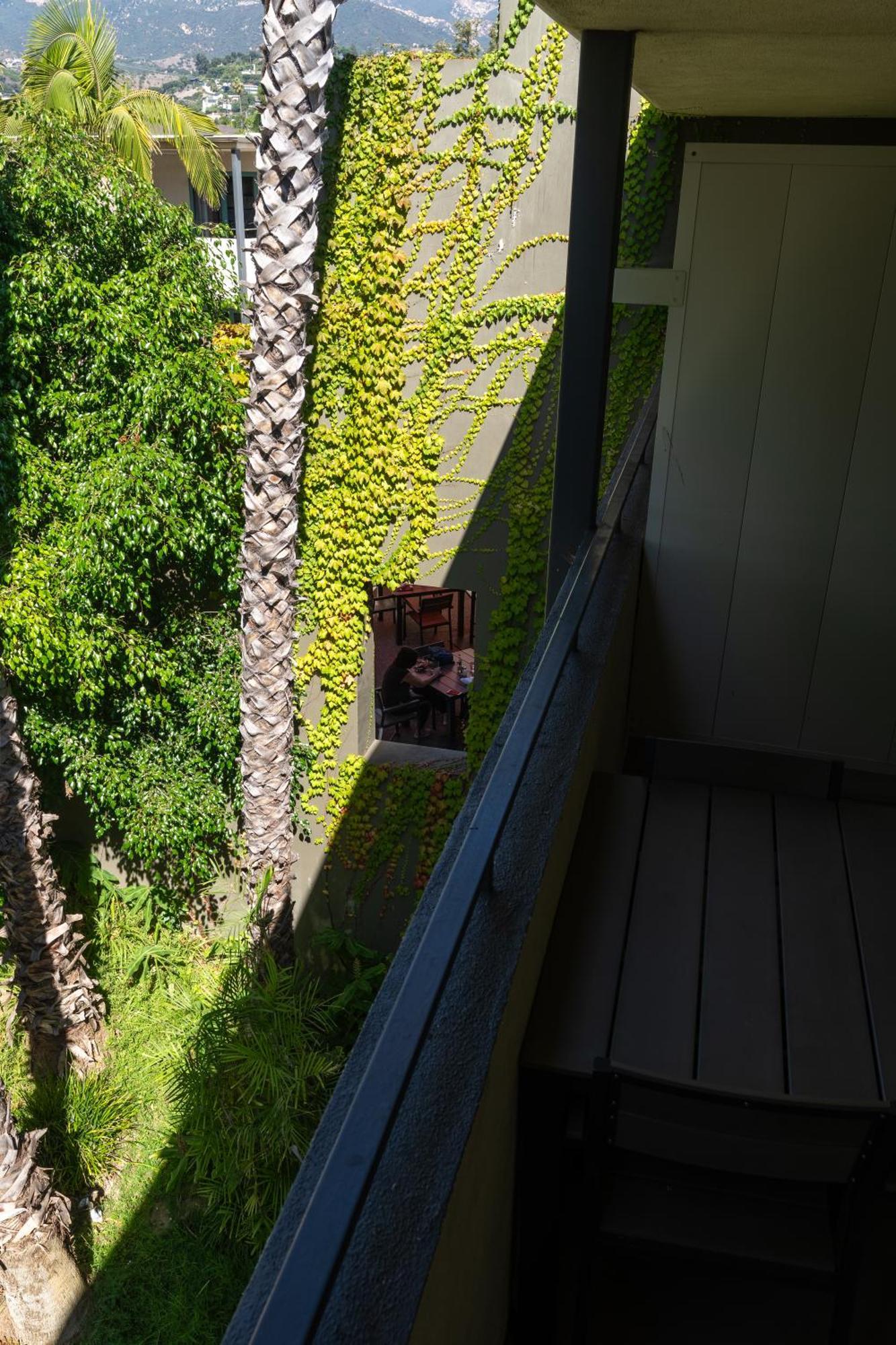 Lemon Tree Hotel