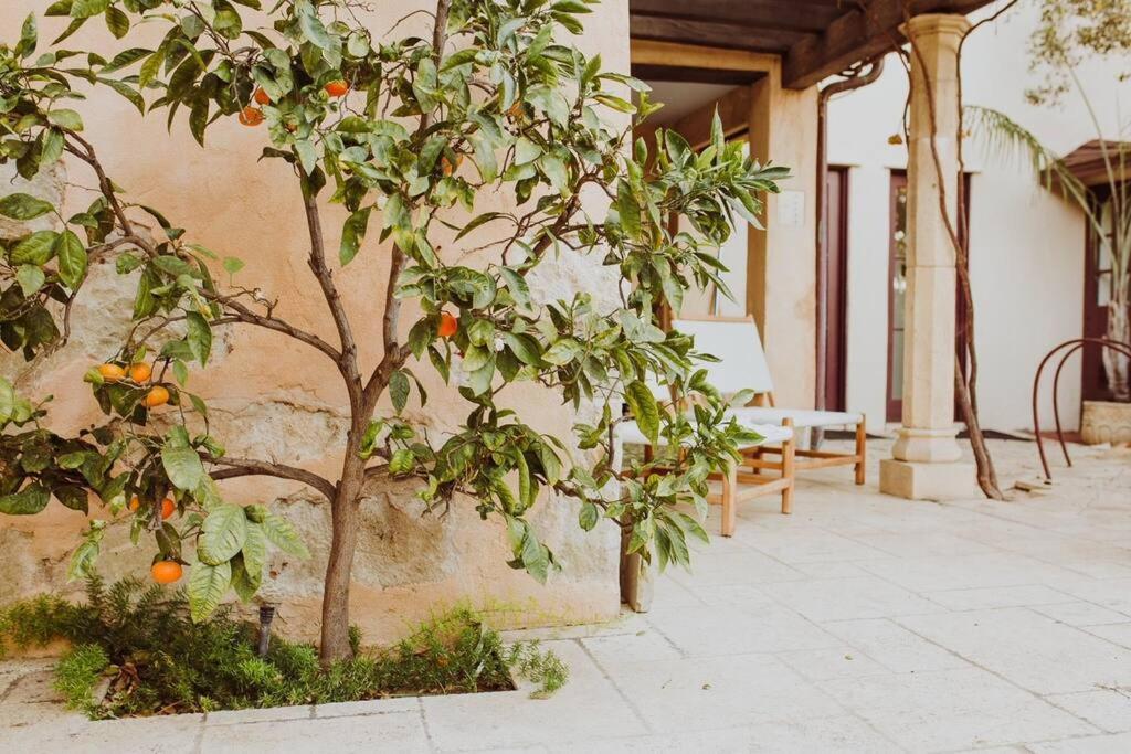 Holiday home Sanctuary Santa Barbara