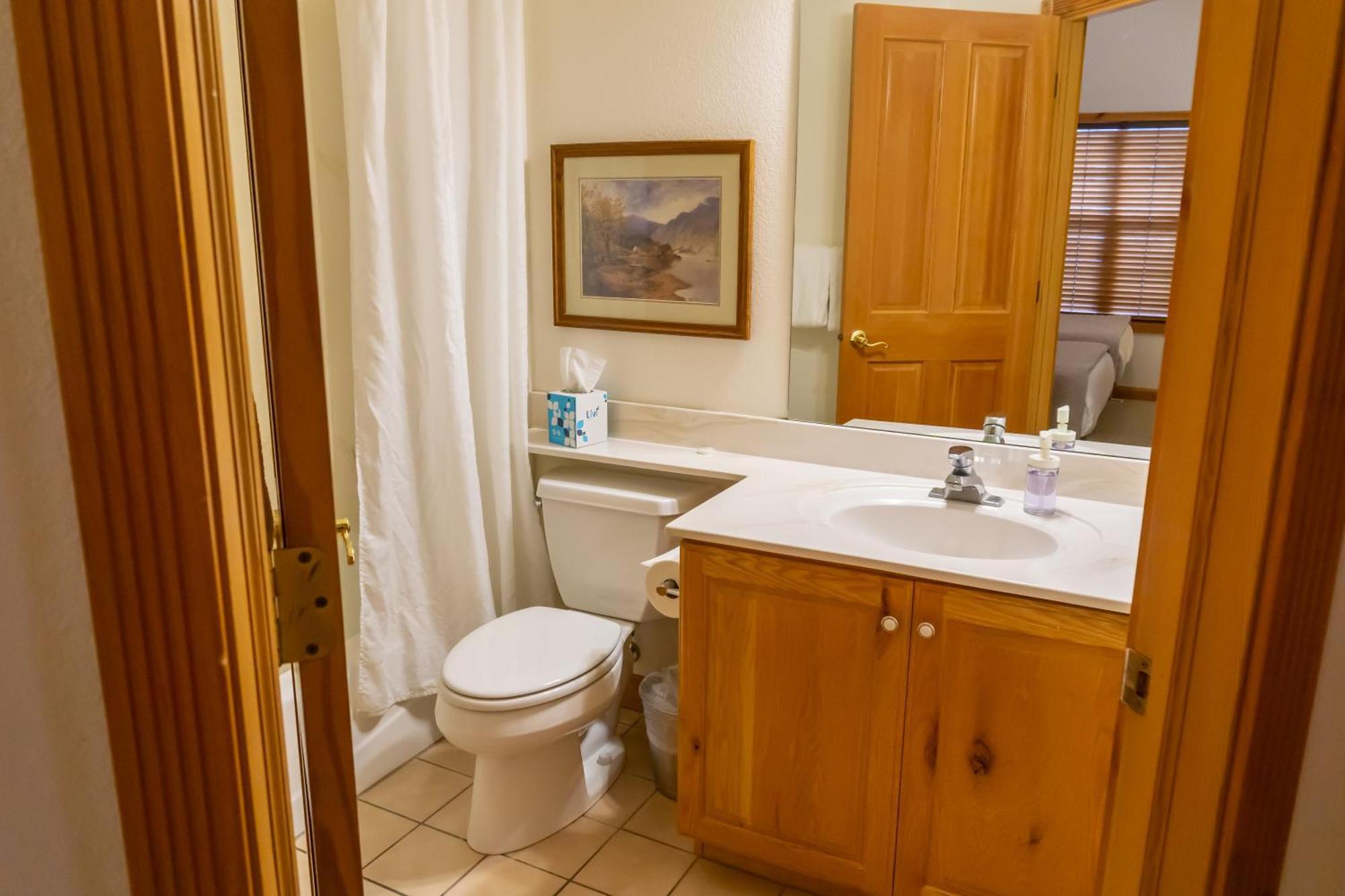 3 Bedroom 3 Bathroom Zermatt Villages 719