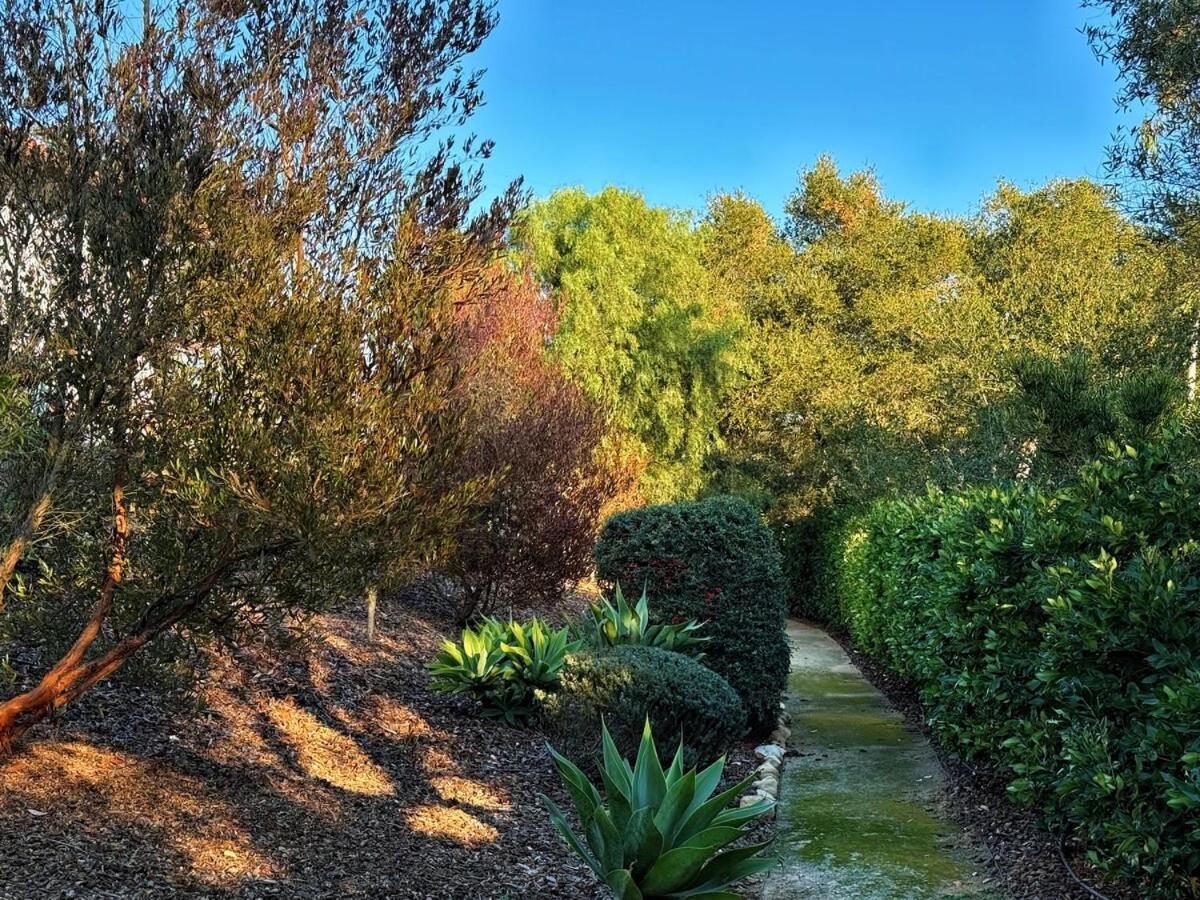 Vista Haven In Santa Babara Villa