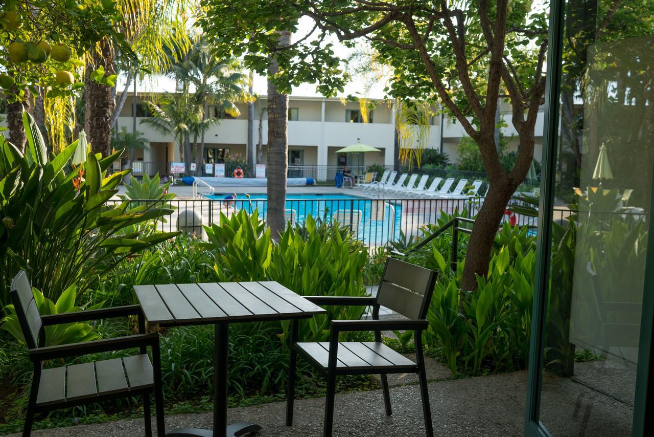 Hotel Lemon Tree