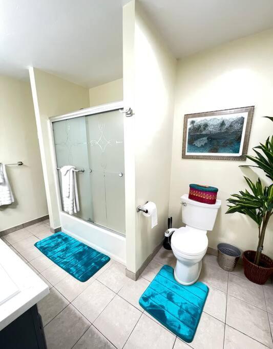 Serenity Large 1-bedroom Guest Apt. Apartment