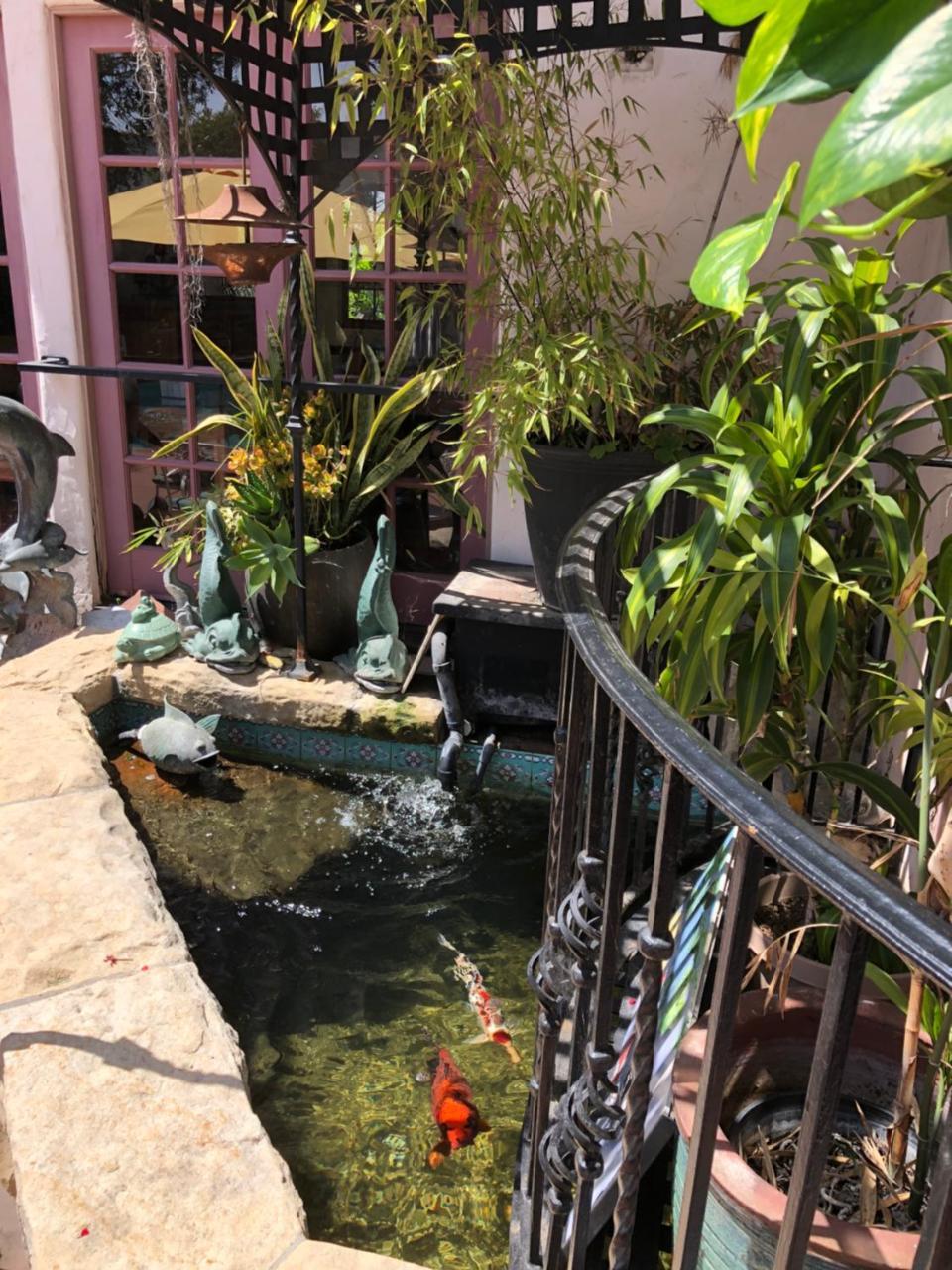 Hotel Rosa 4*